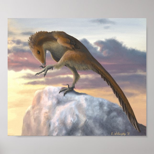 Impression Talos (Devant)