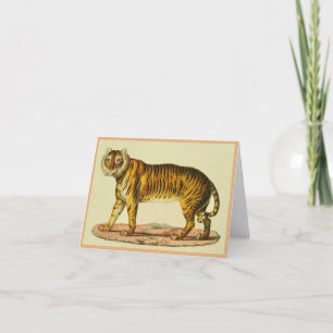 Impression tigre 1824