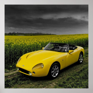 Impression TVR Griffith