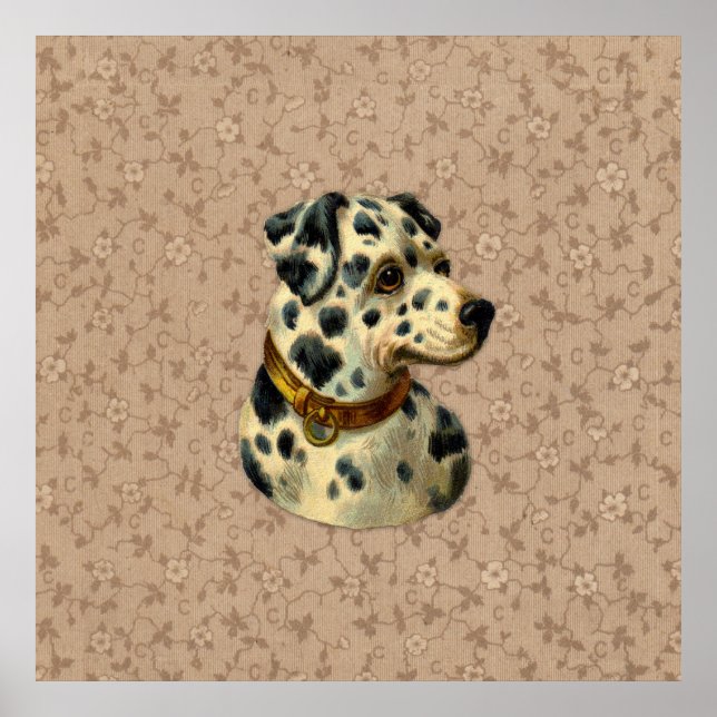 Impression vintage Dalmation Chien (Devant)