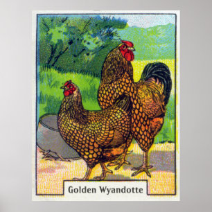 Impression vintage de poulet