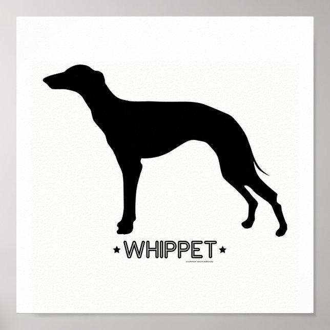 Impression Whippet (Devant)