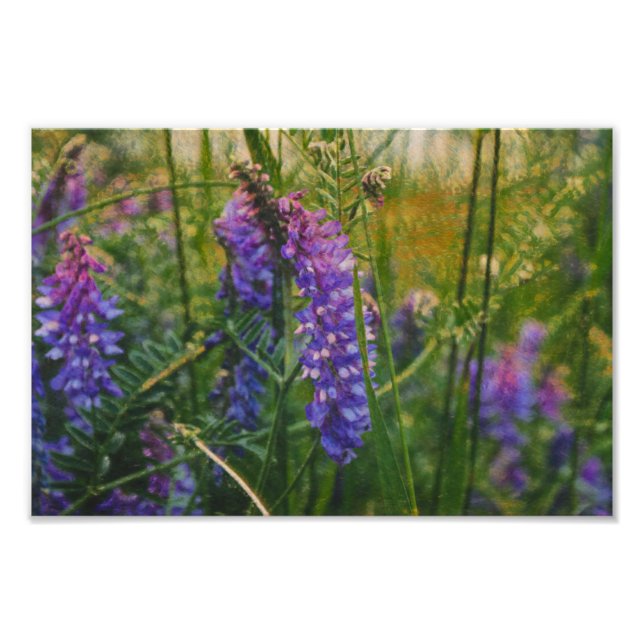 Impressionismus in der Arktis Fotodruck (Vorne)