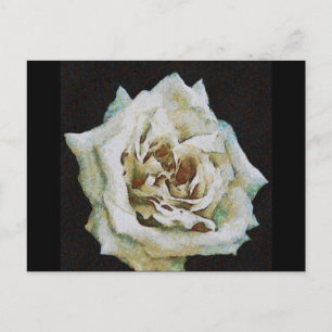 Impressionistische Rose Abgeschieden auf schwarz Postkarte