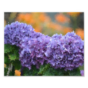 Impressionistisches Hydrangeas-Foto Print Fotodruck