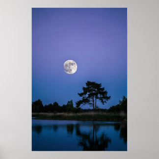 Impressionnante impression d'art mural de nuit lun