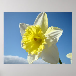 IMPRESSIONS ARTISTIQUES Fleurs de jonquille jaunes