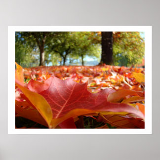 Impressions d'art de feuilles d'automne Arbres d'a