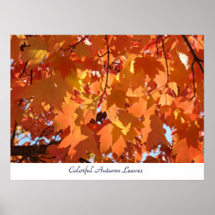 Impressions d'art de feuilles d'automne colorées A