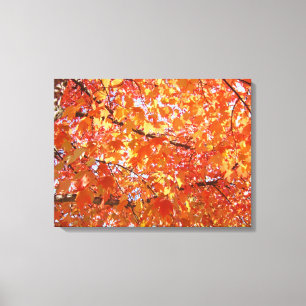 Impressions d'art de feuilles d'Orange Tree cadeau