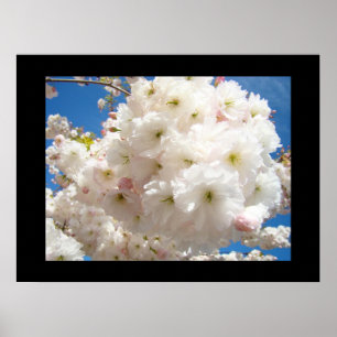 Impressions d'art de fleurs Blossoms Fleurs floral
