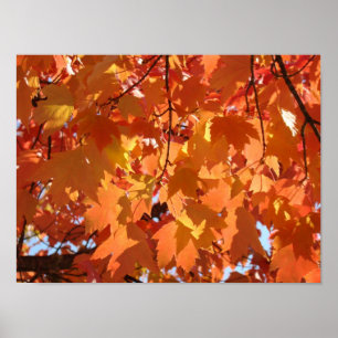 Impressions d'art Feuilles d'automne Feuilles d'ar