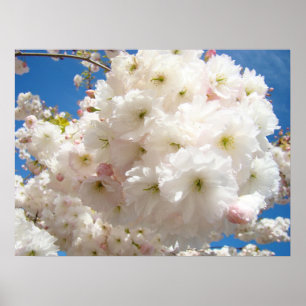 Impressions d'art fin de fleurs de cerisier rose d