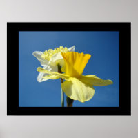 Impressions d'art fin de printemps Jonquille jaune