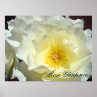 Impressions d'art fin Jardinière de roses Roses bl