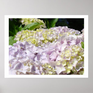 Impressions d'art fin Jardins de fleurs d'hortensi