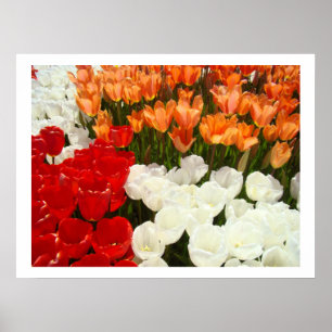 Impressions d'art fin tulipes fleurs photographie