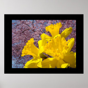 Impressions d'art fines de fleurs de jonquilles Fl