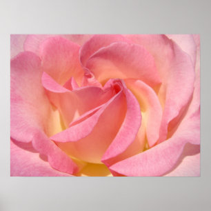 Impressions d'art fines de fleurs de rose spirale 