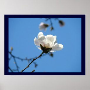 Impressions d'art floral bleu Fleur d'arbre de Mag