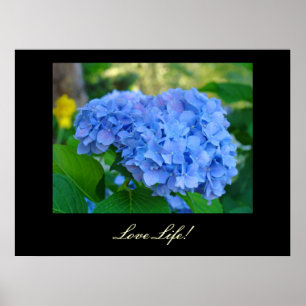 Impressions d'art Love Life ! Fleur d'hortensia bl
