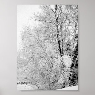 Impressions de Blancs d'Hiver