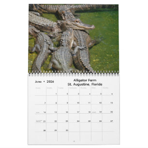Impressions de Floride Calendrier 2026