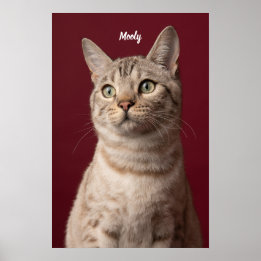 Impressions de photos de noms de chiens et de chat