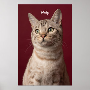Impressions de photos de noms de chiens et de chat