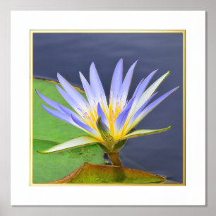 Impressions Dorure Accentuation de l'huile Jaune et Lavande Lily Impr