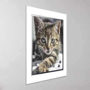 Impressions Dorure Amateurs d'animaux de compagnie adorables Photo de