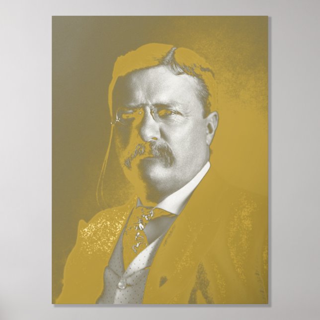 Impressions Dorure Theodore Roosevelt Teddy Président républicain (Recto)