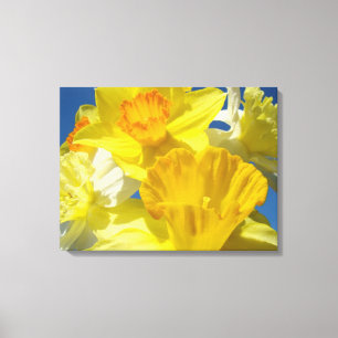 Impressions sur toile de jonquilles de printemps N