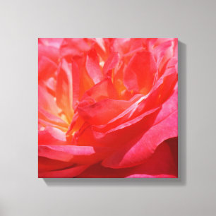 Impressions sur toile rouge rose Fleurs Roses