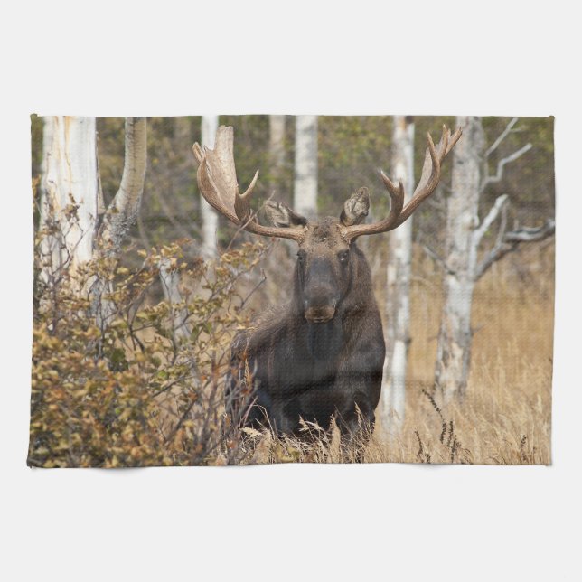 Impressive Bullenmoose Geschirrtuch (Horizontal)