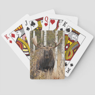 Impressive Bullenmoose Spielkarten