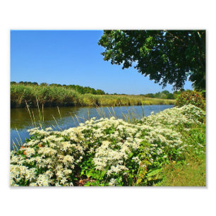 Imprimer la photo du marais de Guilford