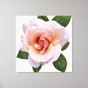 Imprimer la toile Rose de cache