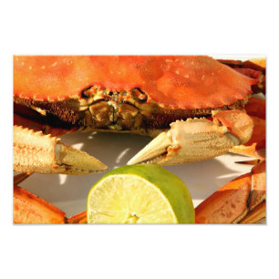 Imprimer photo crabe Dungeness