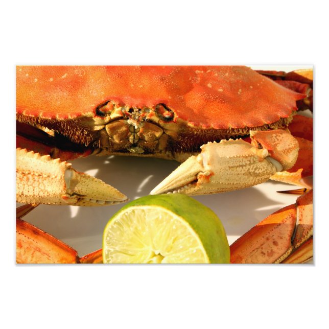 Imprimer photo crabe Dungeness (Devant)