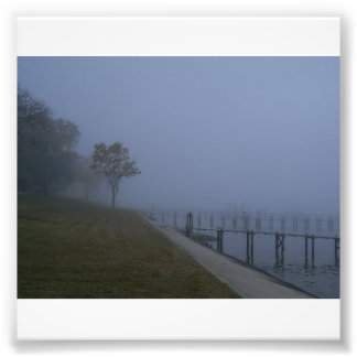 Imprimer photo de l'arbre du jour Foggy