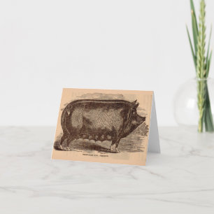 Imprimerie de porc du XIXe siècle Berkshire semée