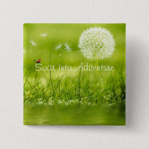 In Abenteuer einsteigen Button