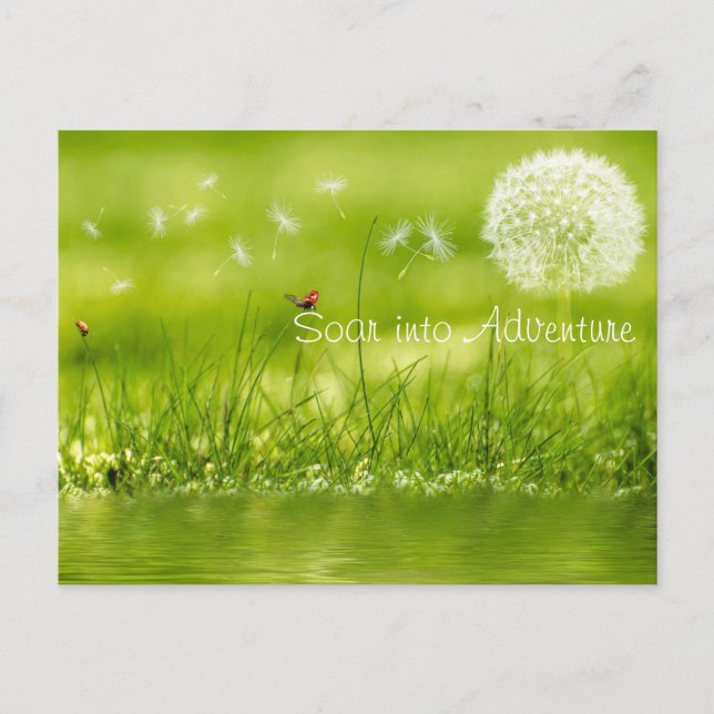 In Abenteuer einsteigen Postkarte (Vorderseite)