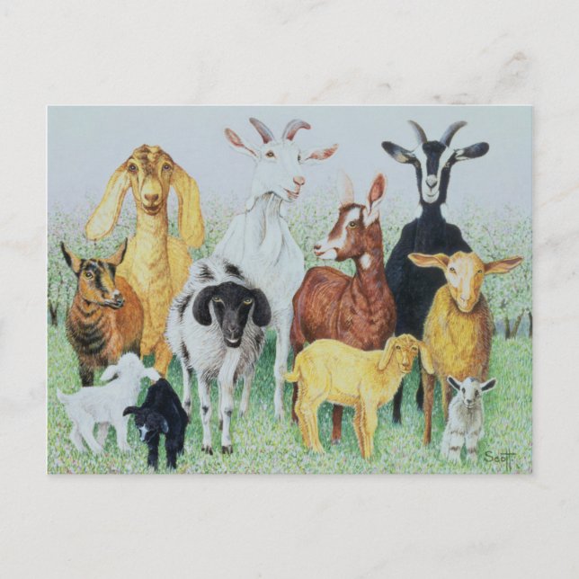 In Cloud Postkarte (Vorderseite)