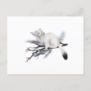 In Cute Winter Weasel Perched haben wir einen Kick Postkarte