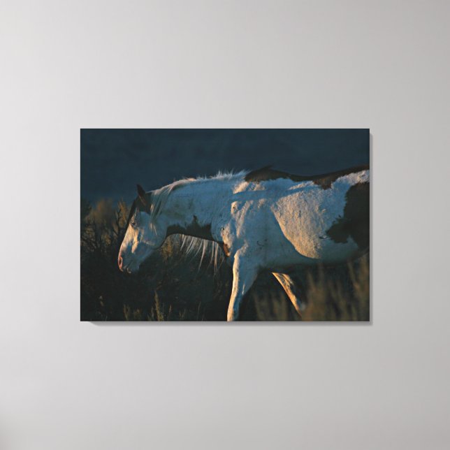 "In das Licht" Shaman Medicine Hat Stallion Leinwanddruck (Vorderseite)