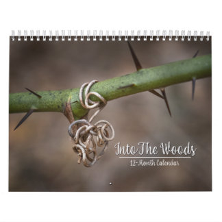 In den 12-monatigen Wald-Kalender Kalender
