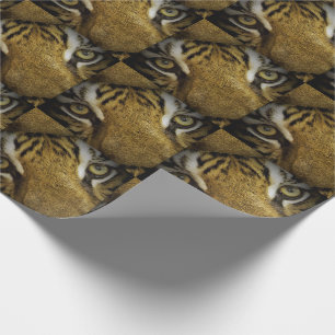 In den Augen eines Tigers Geschenkpapier
