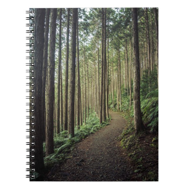 In den Bergen | Wakayama wandern, Japan Notizblock (Vorderseite)
